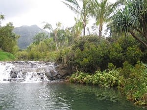 0422 mountain pool.jpg